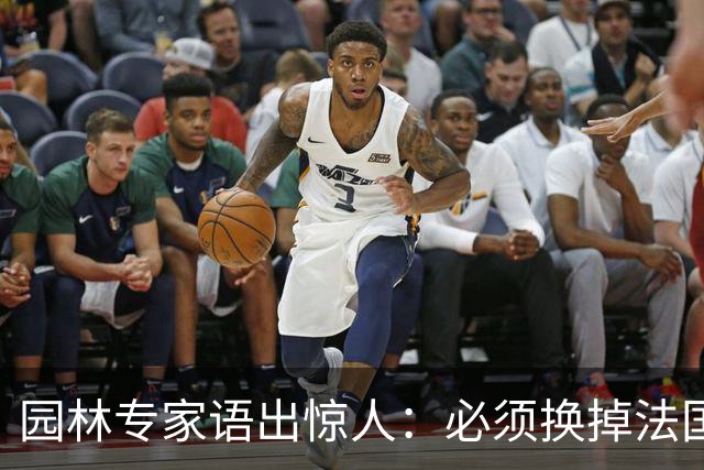 园林专家语出惊人：必须换掉法国梧桐，有很多中国好树被“雪藏”