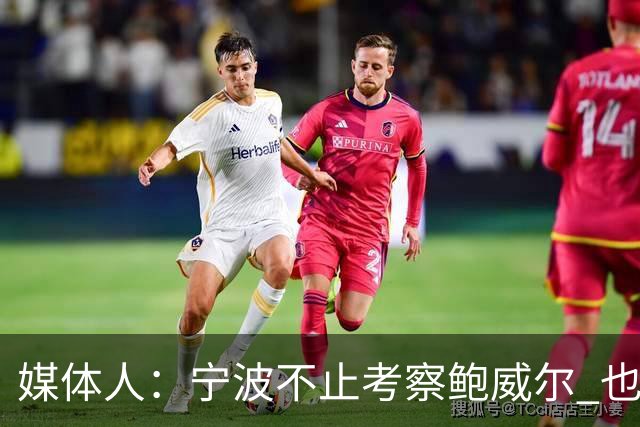 媒体人：宁波不止考察鲍威尔 也在考察曾效力广厦的德里克·沃顿