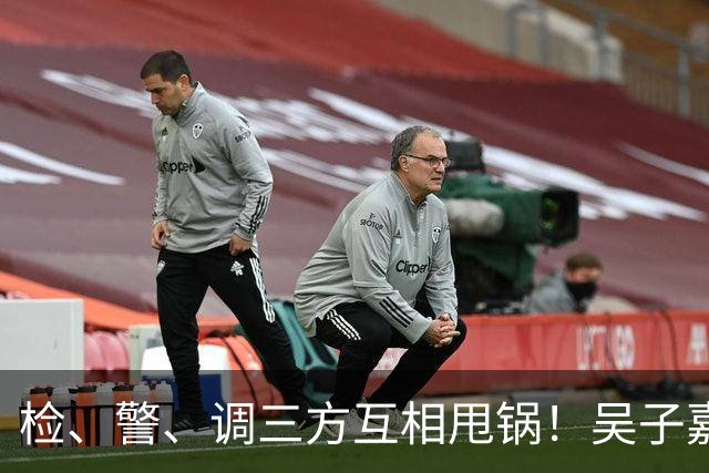 检、警、调三方互相甩锅！吴子嘉上演反击教科书，郑丽文可以效仿