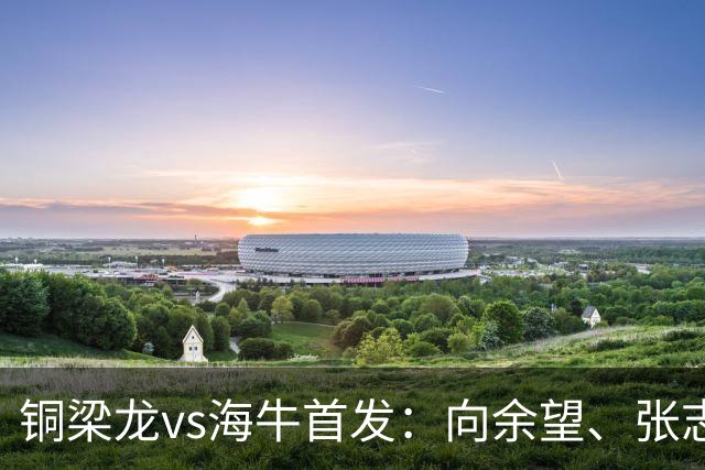 铜梁龙vs海牛首发：向余望、张志雄先发，叶博亚、埃朱玛出战