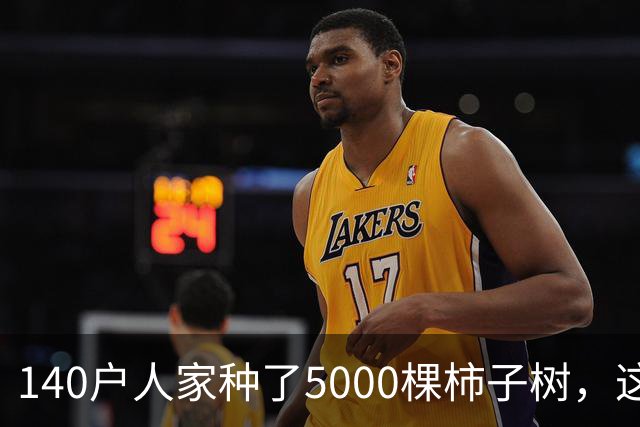 140户人家种了5000棵柿子树，这个浙江小村国庆6天来了8万人