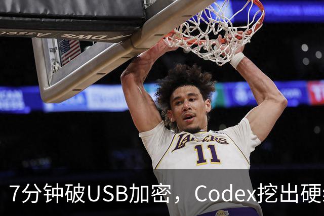 7分钟破USB加密，Codex挖出硬编码密钥